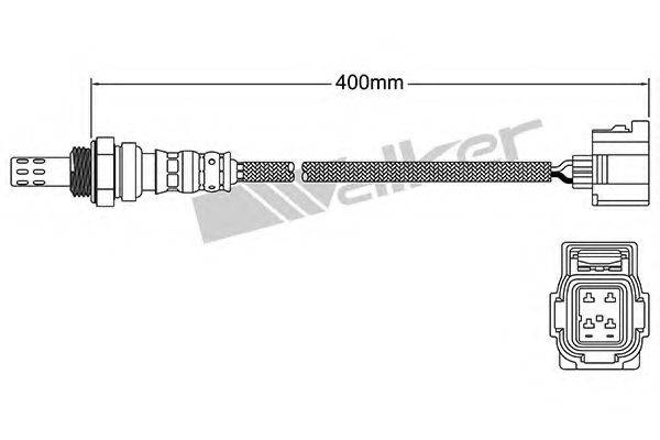 WALKER PRODUCTS 25024253 Лямбда-зонд