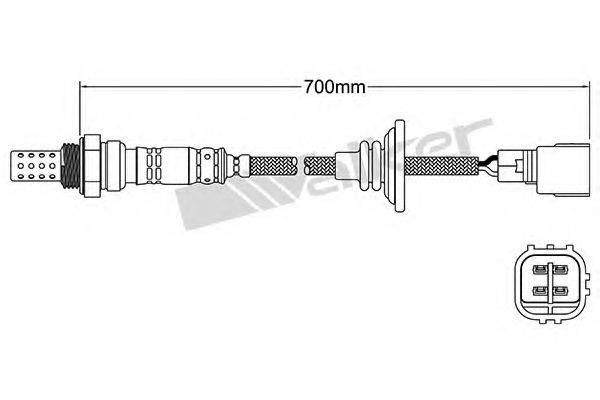 WALKER PRODUCTS 25024938 Лямбда-зонд