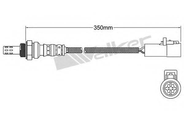 WALKER PRODUCTS 25024939 Лямбда-зонд