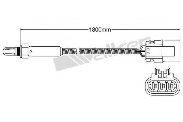 WALKER PRODUCTS 25023503 Лямбда-зонд