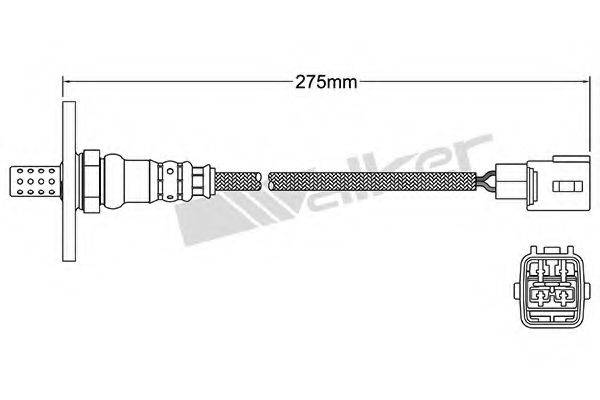 WALKER PRODUCTS 25024157 Лямбда-зонд