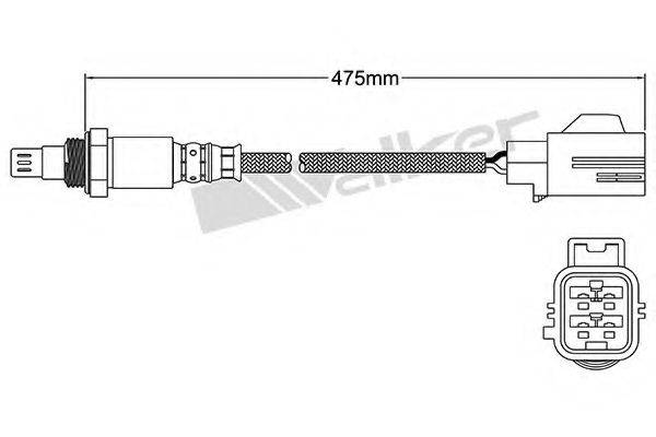 WALKER PRODUCTS 25054028 Лямбда-зонд