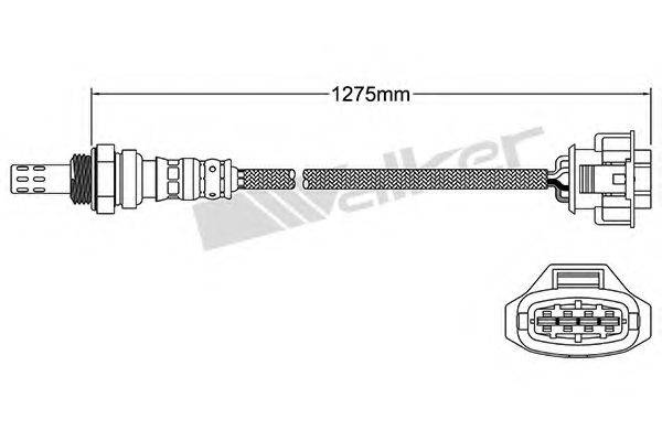 WALKER PRODUCTS 25024731 Лямбда-зонд