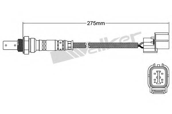 WALKER PRODUCTS 25054076 Лямбда-зонд