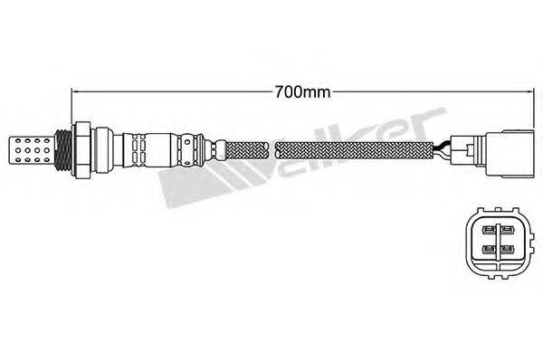 WALKER PRODUCTS 25024440 Лямбда-зонд