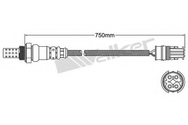 WALKER PRODUCTS 25024466 Лямбда-зонд