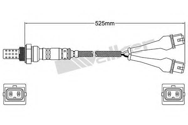 WALKER PRODUCTS 25024545 Лямбда-зонд