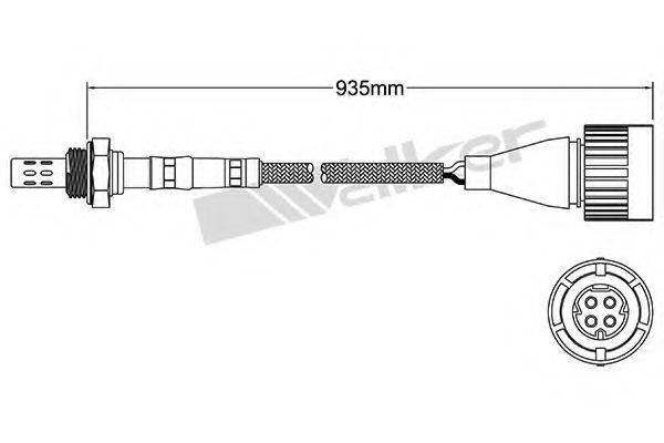 WALKER PRODUCTS 25024824 Лямбда-зонд