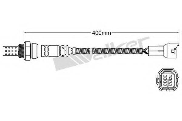 WALKER PRODUCTS 25024338 Лямбда-зонд