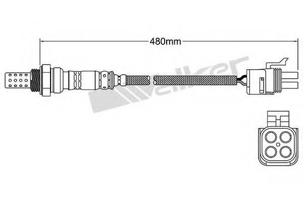 WALKER PRODUCTS 25024829 Лямбда-зонд