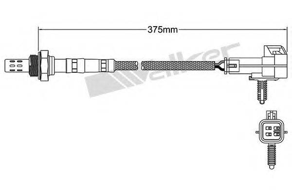 WALKER PRODUCTS 25024018 Лямбда-зонд