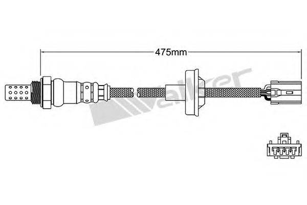 WALKER PRODUCTS 25024979 Лямбда-зонд