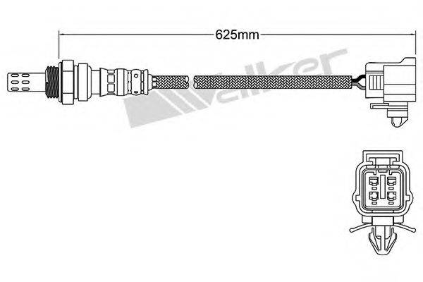 WALKER PRODUCTS 25024986 Лямбда-зонд