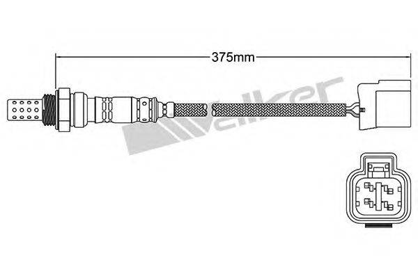 WALKER PRODUCTS 250241029 Лямбда-зонд