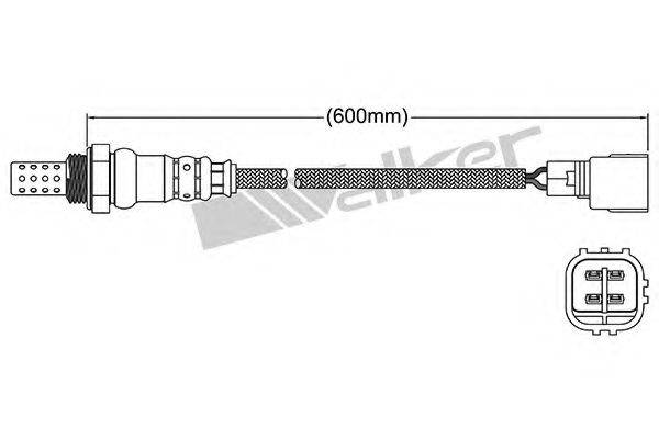 WALKER PRODUCTS 25024331 Лямбда-зонд