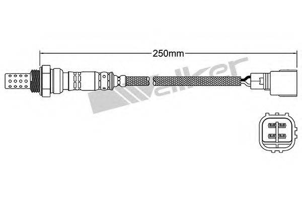 WALKER PRODUCTS 25024344 Лямбда-зонд