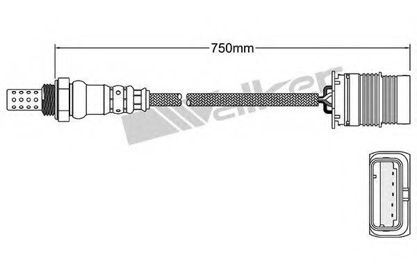 WALKER PRODUCTS 25024991 Лямбда-зонд