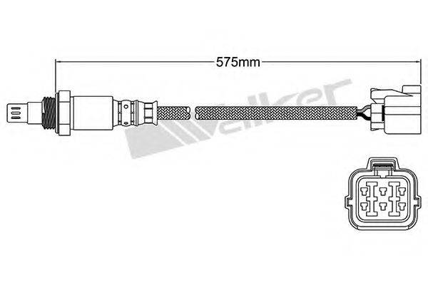 WALKER PRODUCTS 25054027 Лямбда-зонд