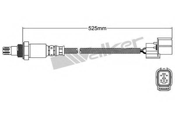 WALKER PRODUCTS 25054056 Лямбда-зонд