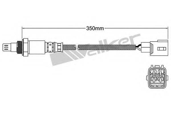 WALKER PRODUCTS 25054066 Лямбда-зонд