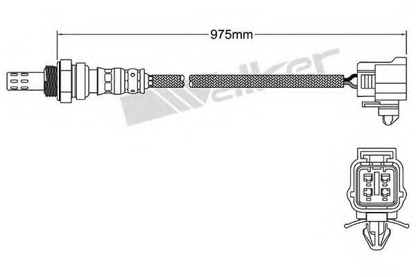 WALKER PRODUCTS 250241048 Лямбда-зонд