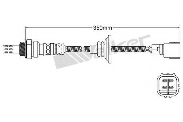 WALKER PRODUCTS 250241061 Лямбда-зонд