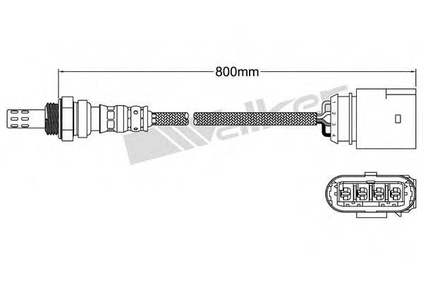 WALKER PRODUCTS 250241051 Лямбда-зонд