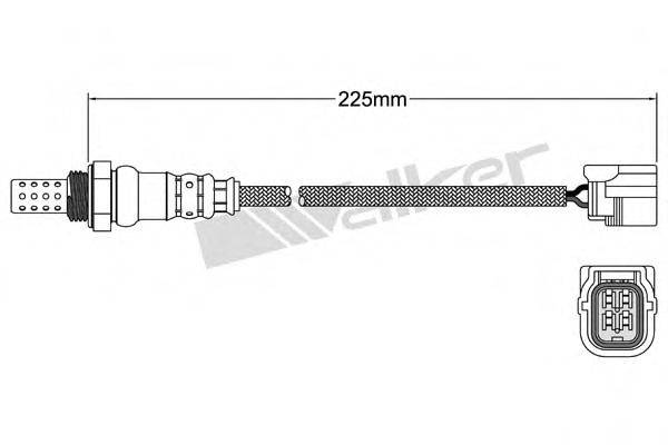 WALKER PRODUCTS 25024833 Лямбда-зонд