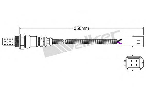 WALKER PRODUCTS 25024851 Лямбда-зонд