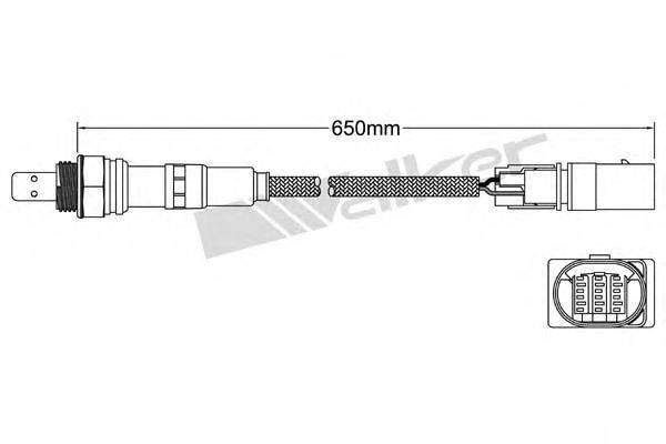 WALKER PRODUCTS 80095022 Лямбда-зонд