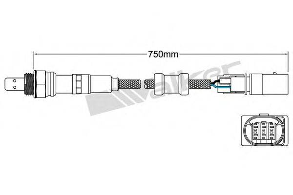 WALKER PRODUCTS 80095026 Лямбда-зонд