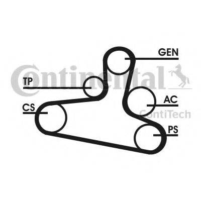 CONTITECH 6DPK1215D1 Полікліновий ремінний комплект