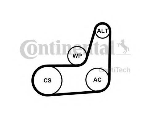 CONTITECH 6PK1019ELASTT2 Полікліновий ремінний комплект