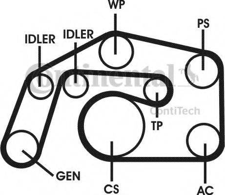 CONTITECH 6PK2460D1 Полікліновий ремінний комплект
