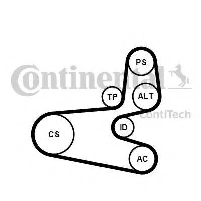 CONTITECH 6PK1560K1 Полікліновий ремінний комплект