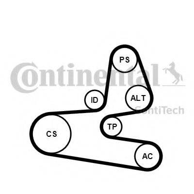 CONTITECH 6PK1564K1 Полікліновий ремінний комплект