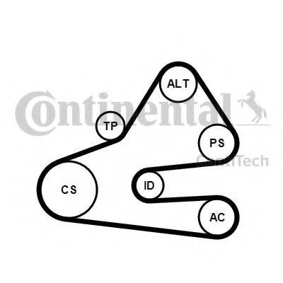 CONTITECH 6PK1613K1 Полікліновий ремінний комплект