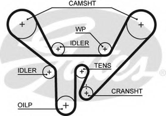 GATES 5518XS Ремінь ГРМ