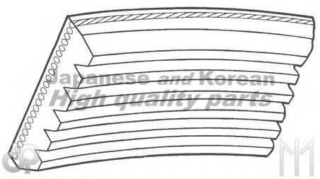 ASHUKI M28105 Полікліновий ремінь