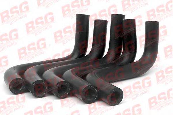 BSG 30-720-022 Масляний шланг