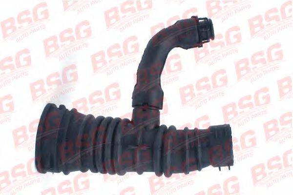 BSG 30-720-063 Шланг, система подачі повітря