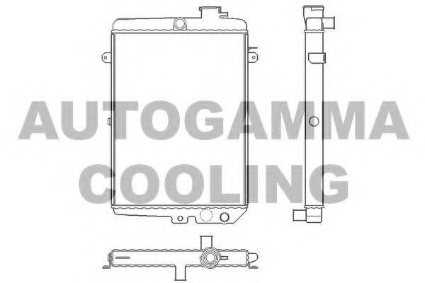 AUTOGAMMA 100038 Радіатор, охолодження двигуна