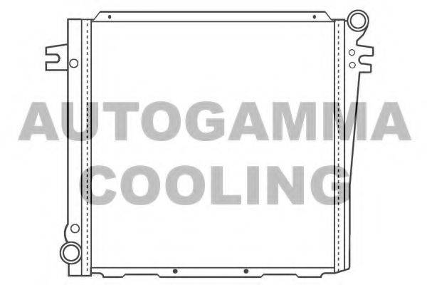 AUTOGAMMA 100118 Радіатор, охолодження двигуна