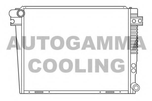 AUTOGAMMA 100122 Радіатор, охолодження двигуна