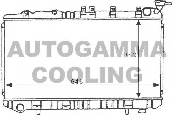 AUTOGAMMA 100630 Радіатор, охолодження двигуна