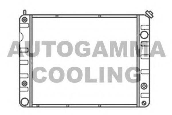 AUTOGAMMA 100789 Радіатор, охолодження двигуна