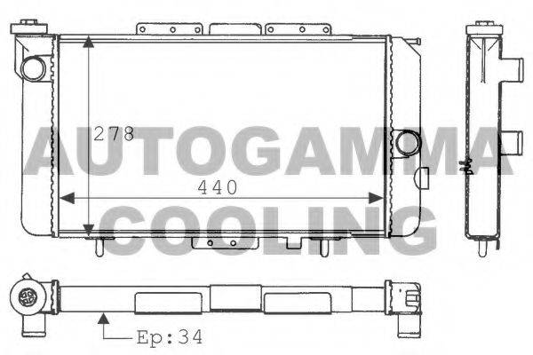 AUTOGAMMA 100838 Радіатор, охолодження двигуна