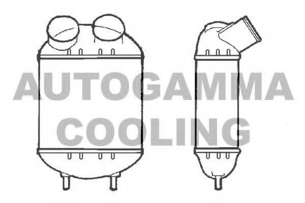 AUTOGAMMA 101476 Інтеркулер