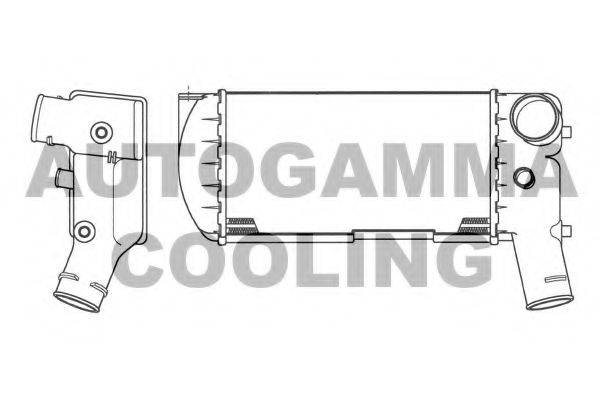 AUTOGAMMA 101862 Інтеркулер