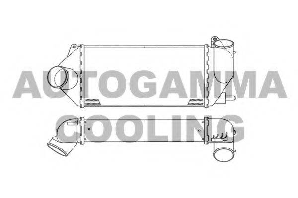 AUTOGAMMA 101921 Інтеркулер